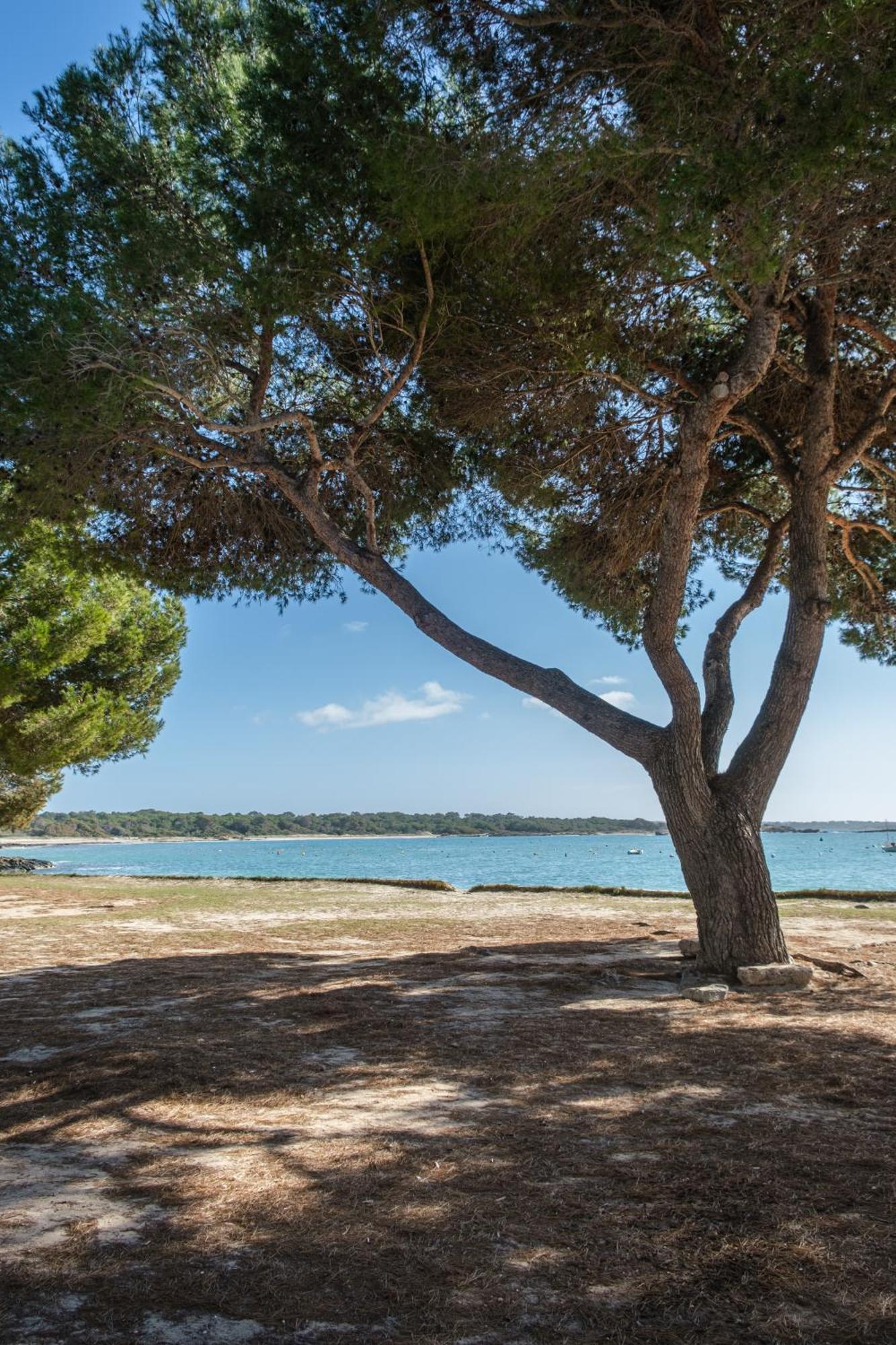 Alma Libre Beach Apartment Colonia de Sant Jordi Ngoại thất bức ảnh